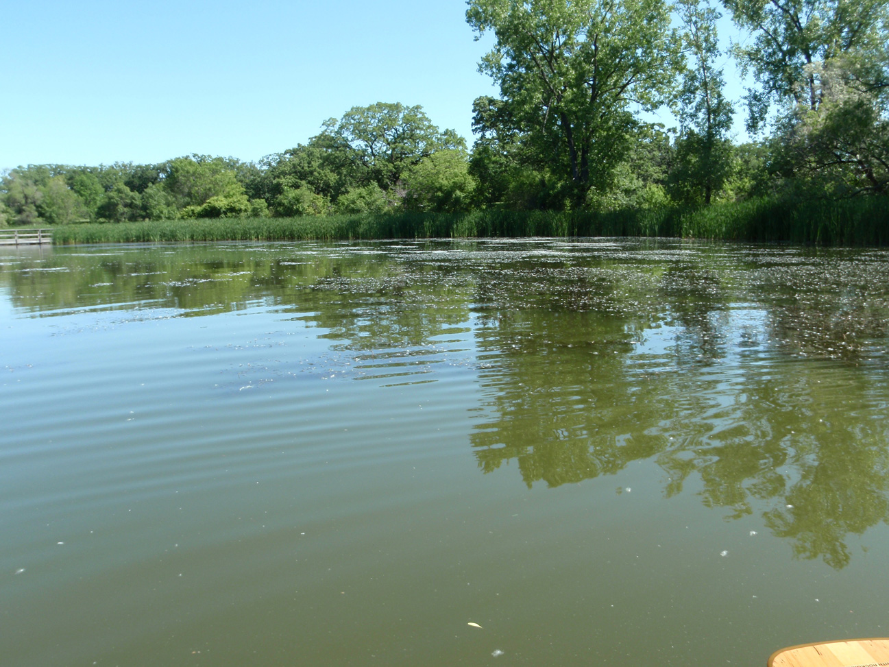 Lake Cornelia Nine Mile Creek Watershed District