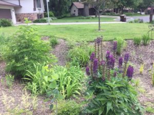 Raingarden installed with a cost share grant