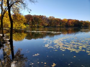 image of a still lake with fall colored trees in background
