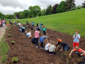 Image of children planting flowers in a mulched rain garden bed