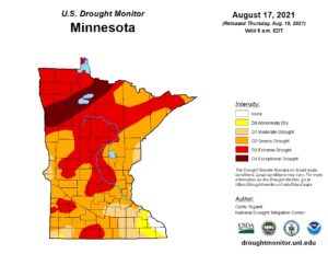 Image of MN drought map as of August 17