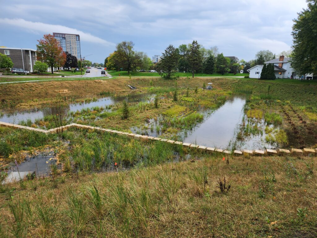 Water pooled in swale, cloudy sky in the background. Water loving plants stick above the water line.