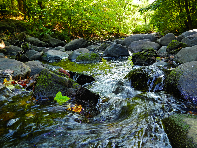 Permits Nine Mile Creek Watershed District