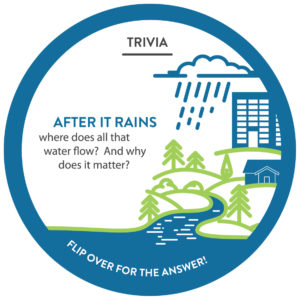 Stormdrain trivia question