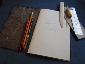 An open notebook which reads Nature Journal with various writing utensils and art tools nearby.