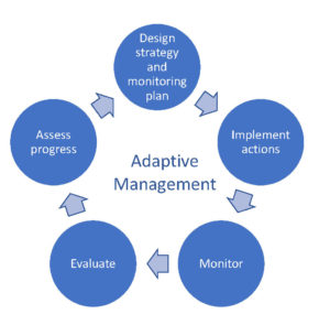 Image of adaptive management graphic