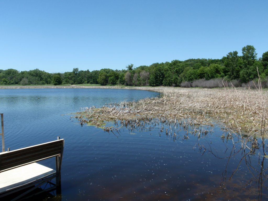 Birch Island Lake Water Level Restoration Nine Mile Creek Watershed
