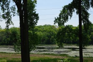 Birch Island Lake Eden Prairie