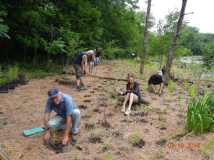 Shoreline Restoration Photo by: Bush Lake Izaak Walton League, Grant Funded Project