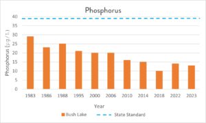 Decreasing phosphorus levels in Bush Lake