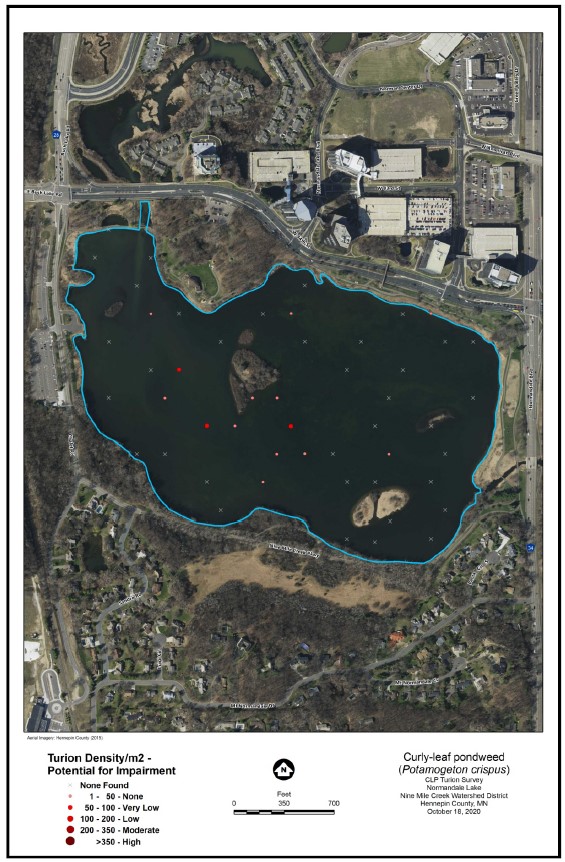 Image of CLP Turion Density 2020