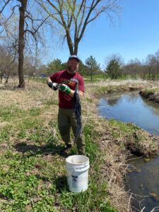 Person cleaning trash out of the Nine Mile Creek. They are putting the trash in a 5 gallon bucket.