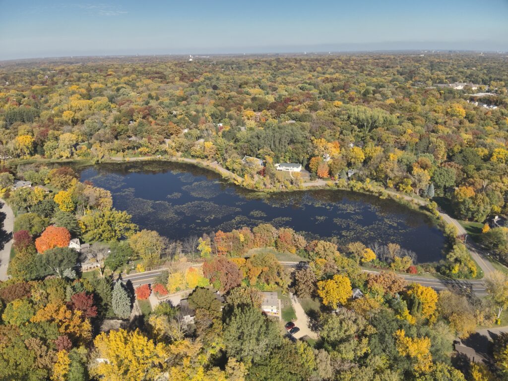 drone image of wing lake, tree canopy is just turning color and the lake has several different distinct aquatic plants in it.