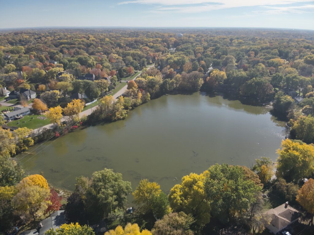 Drone image of Lake Holiday, tree canopy just changing color, the water of the lake looks like thick pea soup—filled with algae.