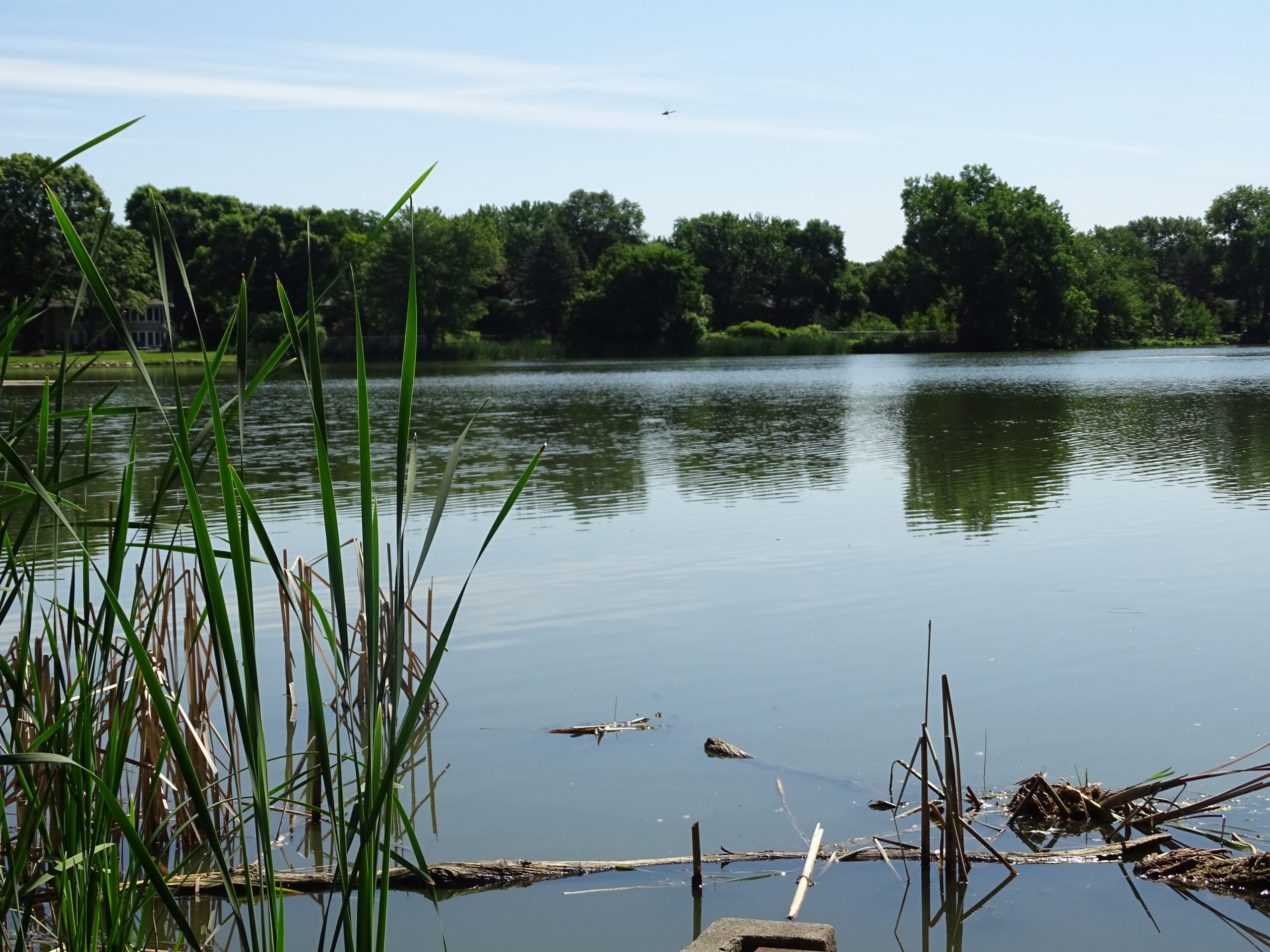 Lake Edina Nine Mile Creek Watershed District