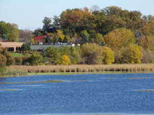 a lake in fall