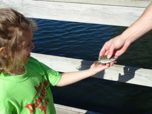 A child holds a small fish in their hand, as an adult hands it to them from out of the picture.