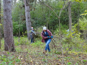 Nine Mile Creek Buckthorn Bust