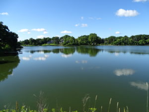 Lake Cornelia in Edina, MN