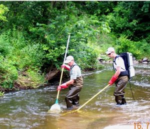 Electro-shocking fish in Nine Mile Creek