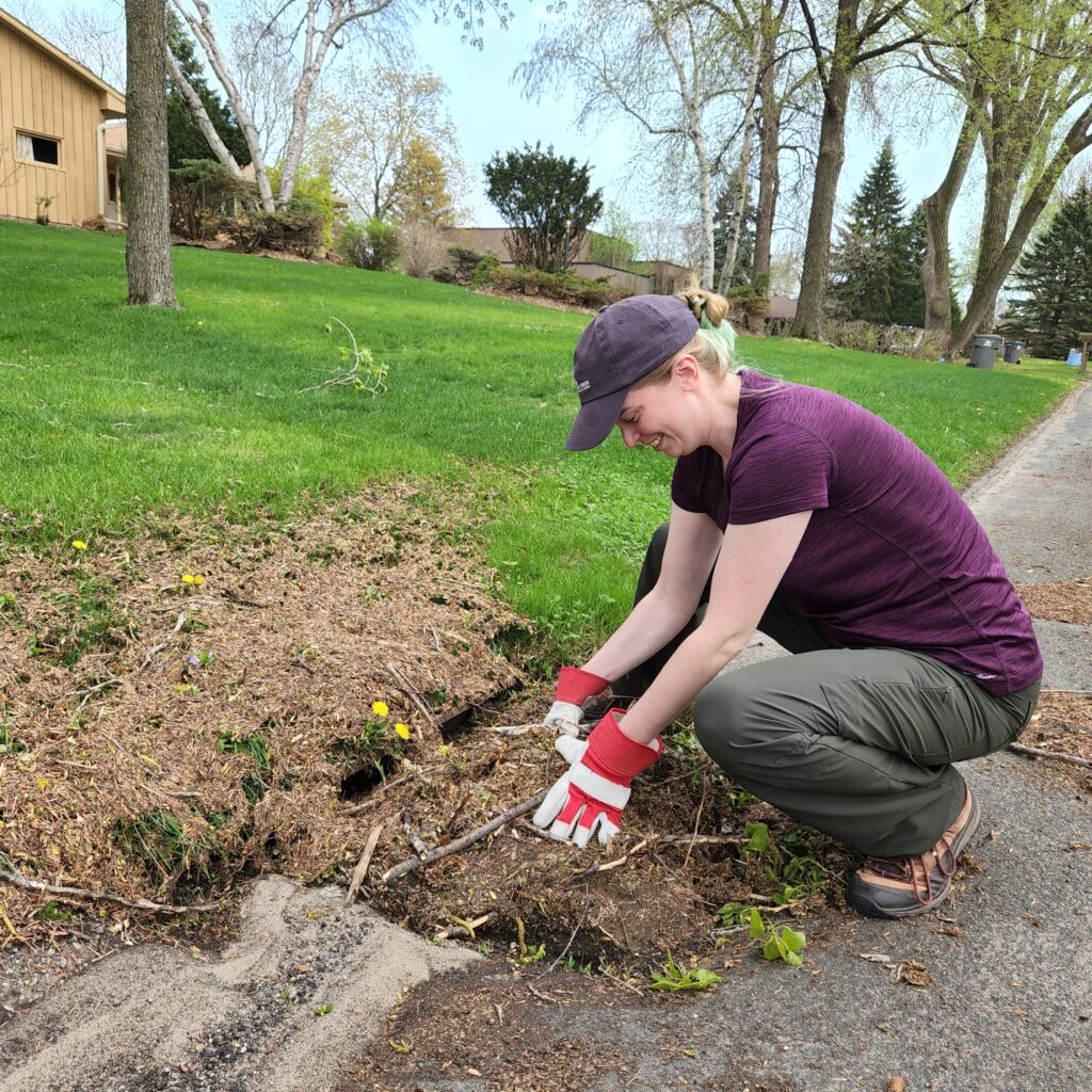 A person cleans out gunk from a storm drain in the street.