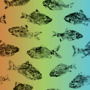 A colorful image of ink printed fish.