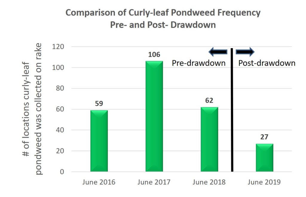 Graph-of-Curly-leaf-Pondweed-Frequency-pre-and-post-drawdown