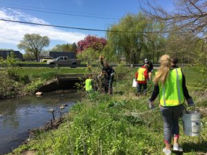 Trash pick up along Nine Mile Creek