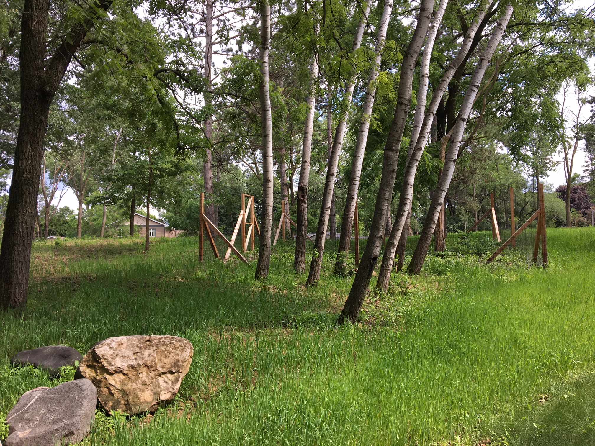 Discovery Point Restoration Nine Mile Creek Watershed District