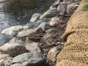 Image of rocks and sticks embedded in a streambank