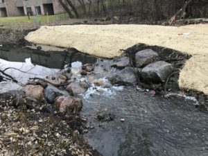 Rocks in a creek