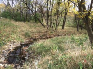 Image of creek running through a grassy area with trees in background