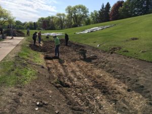 Image of people removing sod from a grassy sloped area