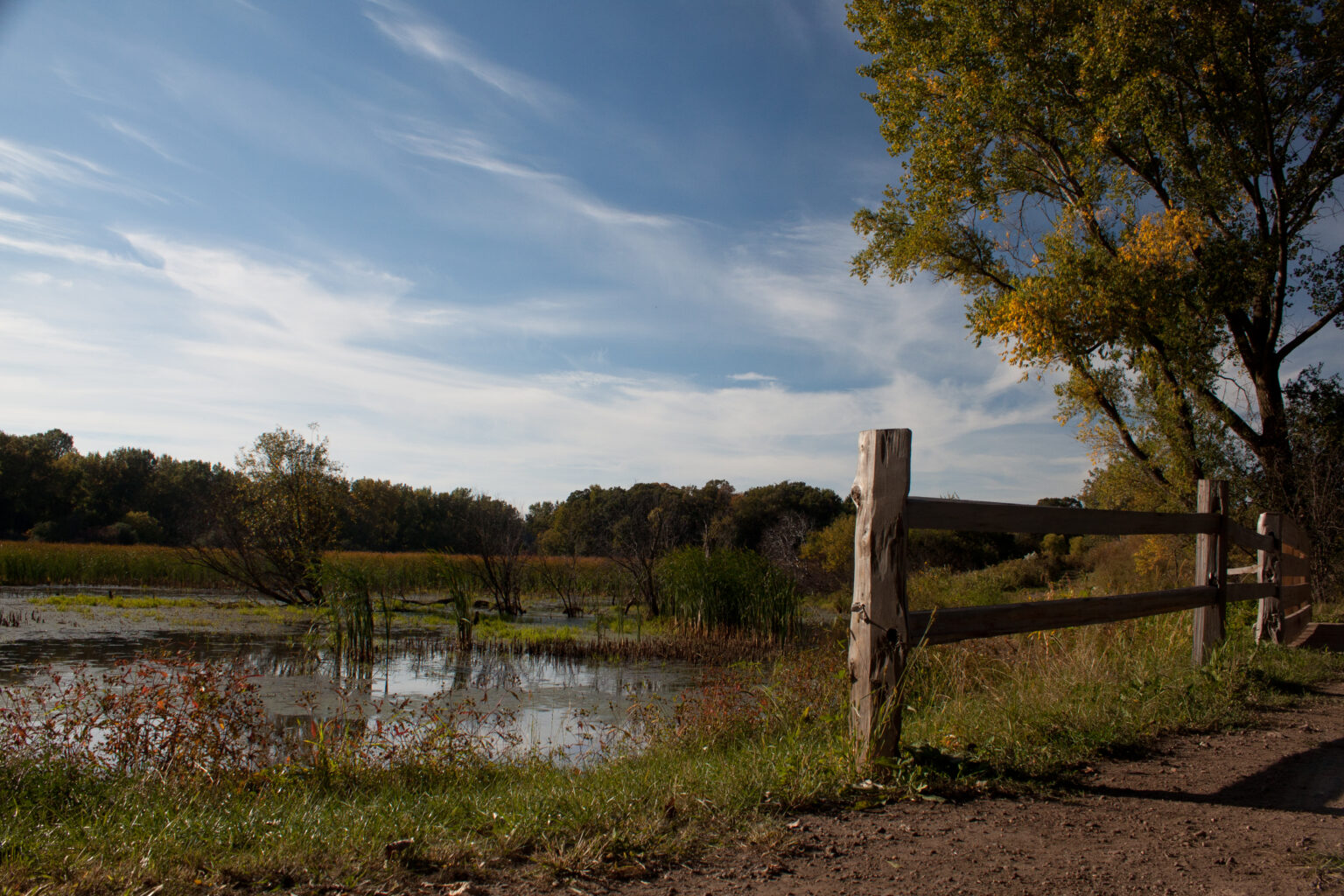 Wetland Study Nine Mile Creek Watershed District