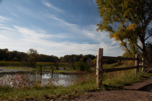Image of a wetland with a split-rail fence