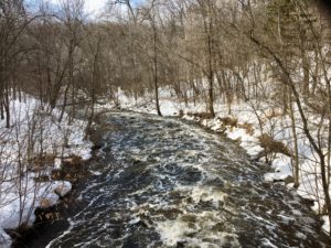 rushing waters of 9 Mile Creek in spring