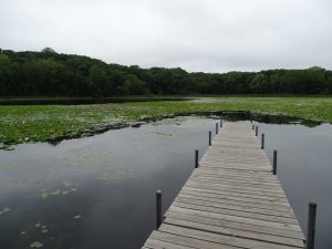 Lone-Lake-2014