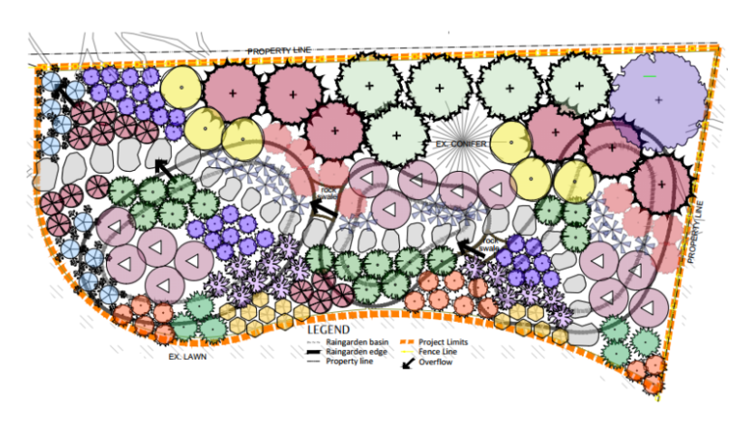 Several circles on a design plan indicating the space needed for each plant in raingarden