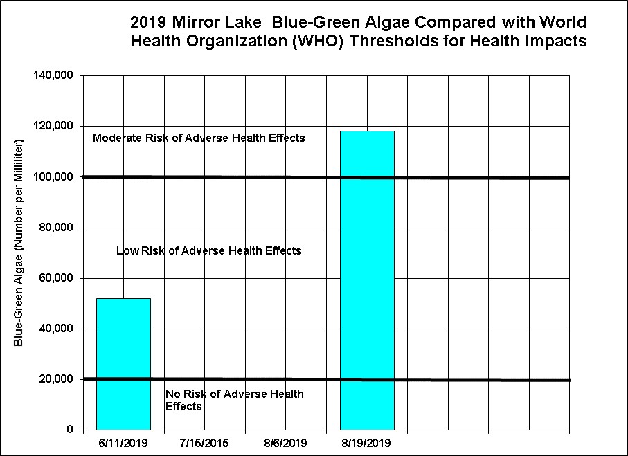 Graph of blue-green algae levels in Mirrow Lake during the summer of 2019