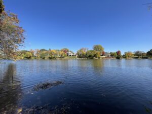 Photo of Mirror Lake in Edina