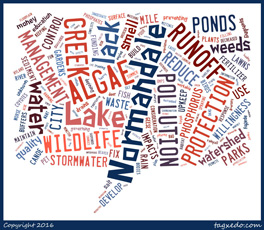 Word cloud representing the key issues expressed at the May 4 Community Input Meeting for NMCWD Water Manangement Plan