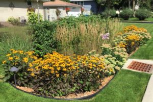 Nine Mile Creek Cost Share Bloomington Raingarden_108th St