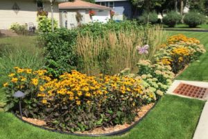 Nine Mile Creek Cost Share Bloomington Raingarden_108th St