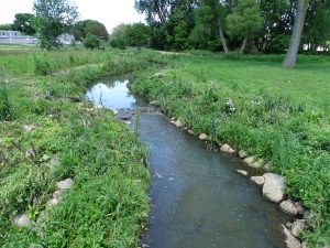 Nine-Mile-Creek-North-Branch-Hopkins