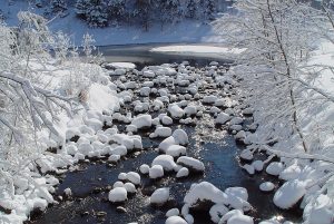 Nine-Mile-Creek-in-the-Winter_Dick-Bergstrom