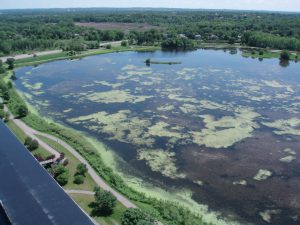 Normandale-Lake-Water-Quality