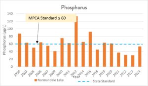 Graph that show phosphorus levels in Normandale Lake from 1990 - 2024.