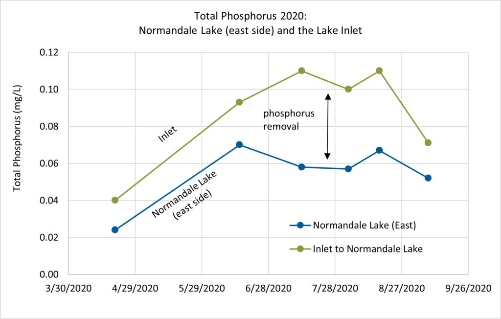 Graph showing phosphorous levels at the inlet and outlet of Normandale lake shows phosphorous is used up by the lake as water flows through.