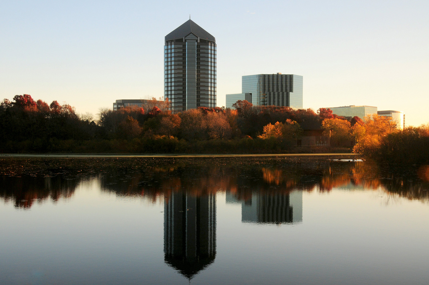 Normandale Lake Skyline