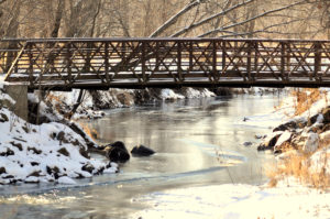 Nine Mile Creek, Photo by: D. Bergstrom
